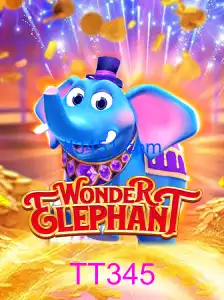 WonderElephant
